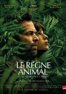 The Animal Kingdom