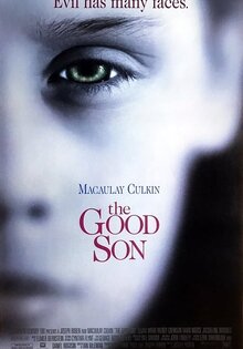 The Good Son