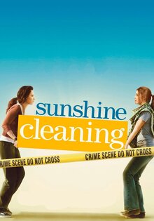 Sunshine Cleaning