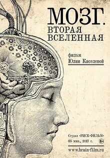 Мозг: вторая вселенная