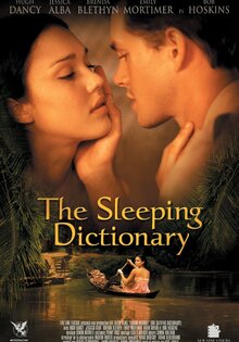 The Sleeping Dictionary