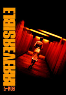 Irréversible - Inversion Intégrale