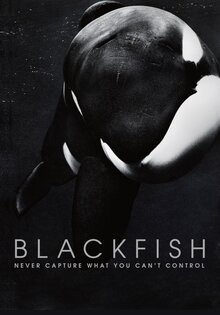Blackfish