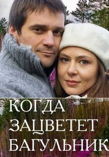 Когда зацветет багульник