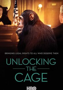 Unlocking the Cage