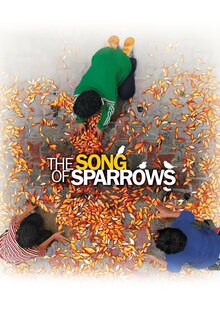 Avaze Gonjeshk-ha / The Song of Sparrows