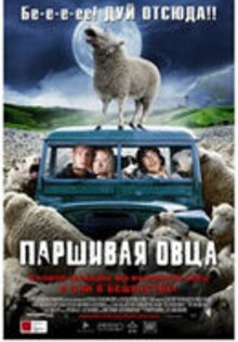 Black Sheep
