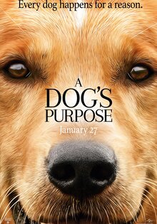A Dog's Purpose