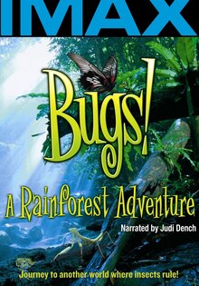 Bugs!