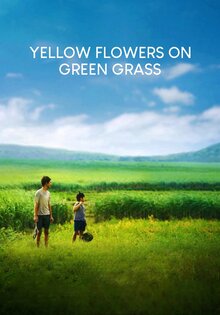 Yellow Flowers on the Green Grass