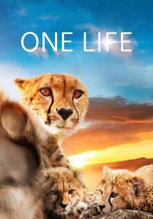 One Life