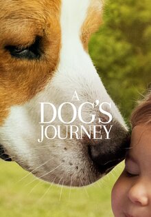 A Dog s Journey 2019 Kinoafisha