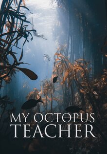 My Octopus Teacher