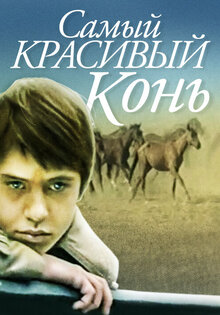 Самый красивый конь