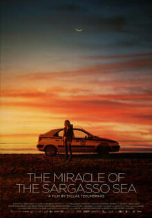 The Miracle of the Sargasso Sea