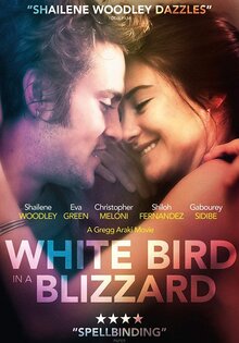 White Bird in a Blizzard
