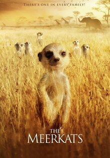 The Meerkats