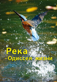 Река — Одиссея жизни