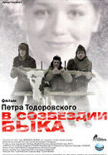 В созвездии Быка