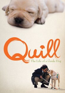 Quill