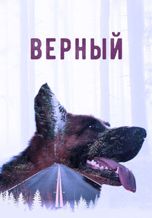 Верный