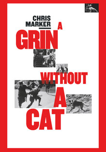 A Grin Without A Cat