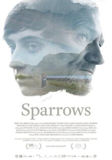 Sparrows