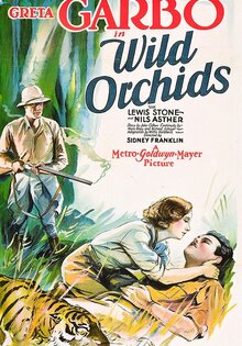 Wild Orchids