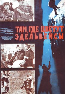 Tam, gde tsvetut edelveysy