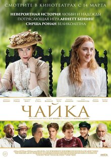 Чайка