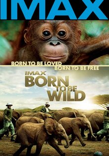 Born to Be Wild
