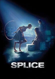 Splice