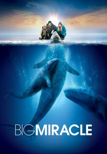 Big Miracle