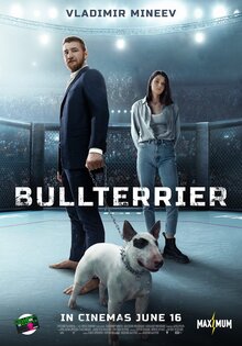 Bulterer