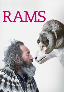 Rams