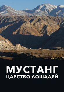 Мустанг - царство лошадей