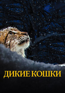 Дикие кошки