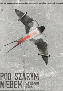 Under the Grey Sky