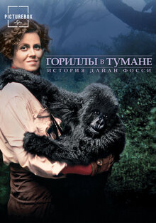 Гориллы в тумане