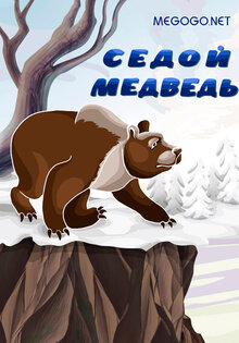 Gray-Haired Bear