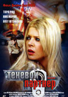 Теневой партнер