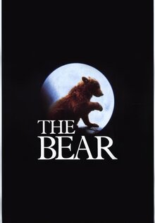 The Bear