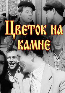 Цветок на камне
