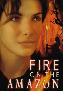 Fire on the Amazon