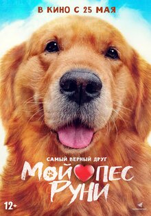 Мой пёс Руни