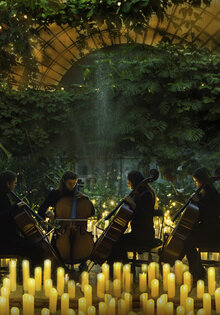 Магия свечей. Frank Sinatra. Рождественские песни в Оранжерее