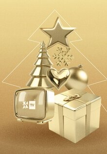 Новогодний концерт Жара