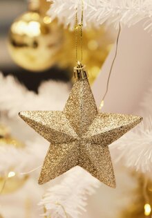 Рождественский органный вечер