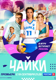 Чайки