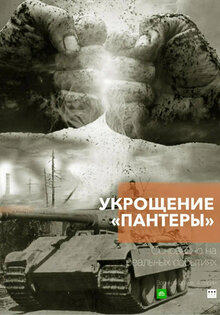 Укрощение «Пантеры»